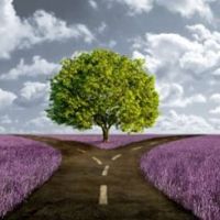 Se tuo figlio assume&nbsp;droga..